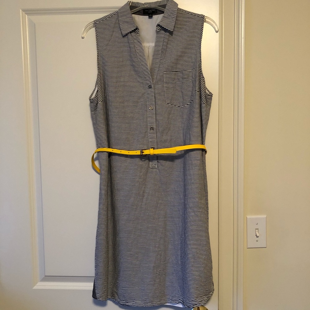 The Limited Ashton Shirt Dress